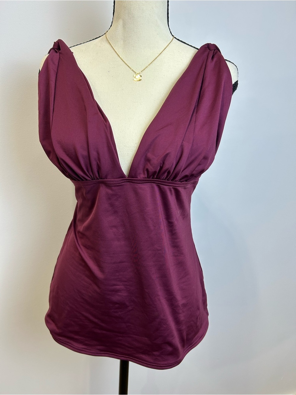 Carmen Marc Valvo Tankini Swimwear  V-Neck Top in Wine